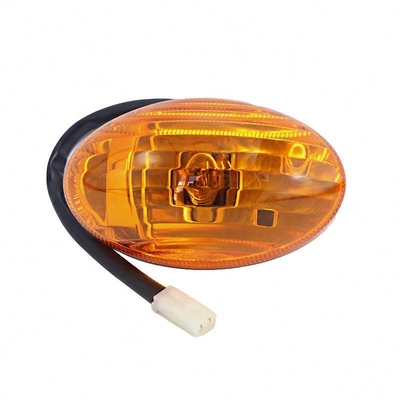 Customize Logo Foton Aumark Truck Ollin Car Door Light com desempenho e direito 12V